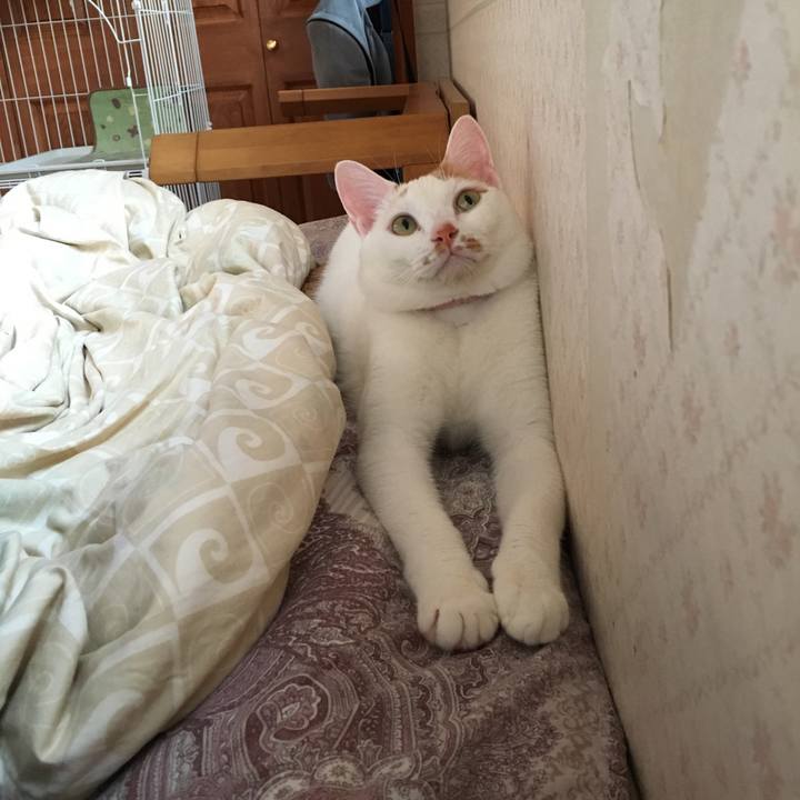 291e9f1b a055 444e a124 19ebc7d123b0 1531139084254