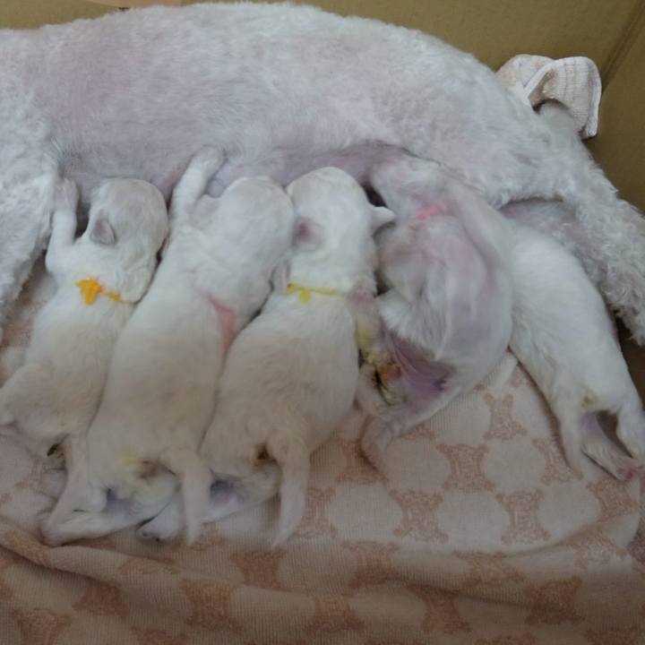 291efdbc 0e08 4132 a894 e814266d44cf 1580974642751