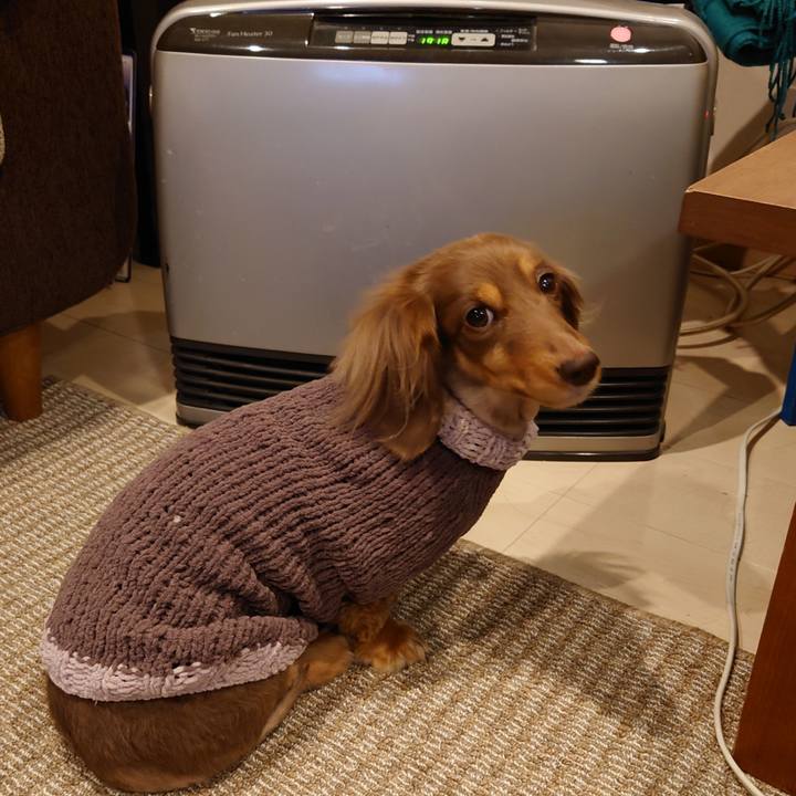 291f2b21 a036 443f 82ce ed2396ac7b59 1705317511606