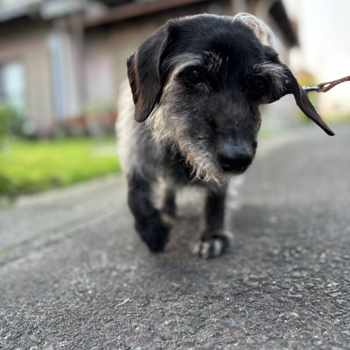 291f5312 1c19 4c49 aa51 86c23f86d71e 1747955176895