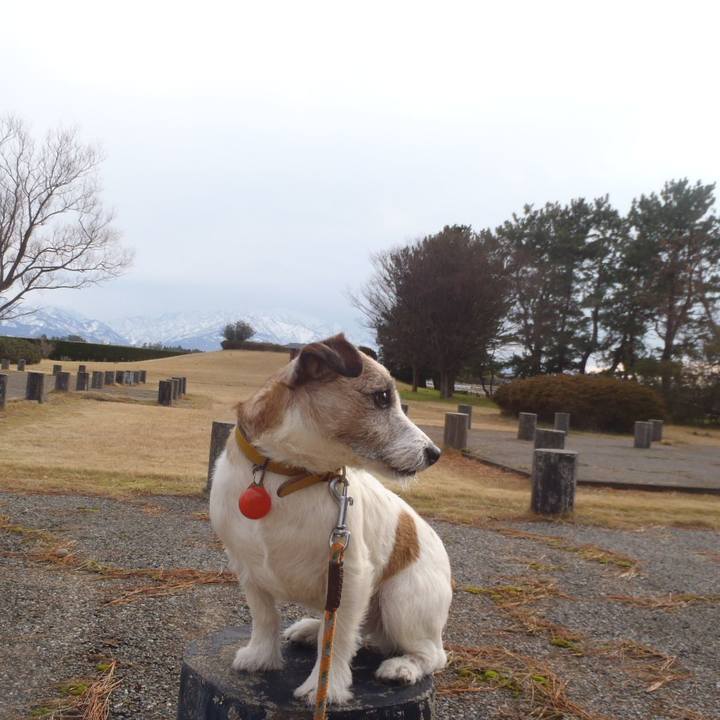 291f73fd 6d98 4bf9 993b eaf1f8a0346e 1514816771763