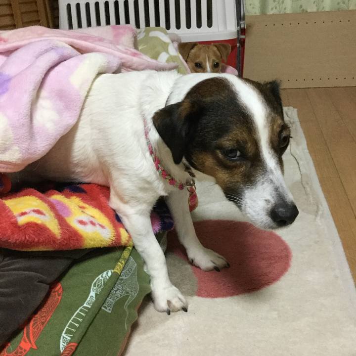 291f7569 68c6 4028 9b75 0943e7db42f5 1514642227718