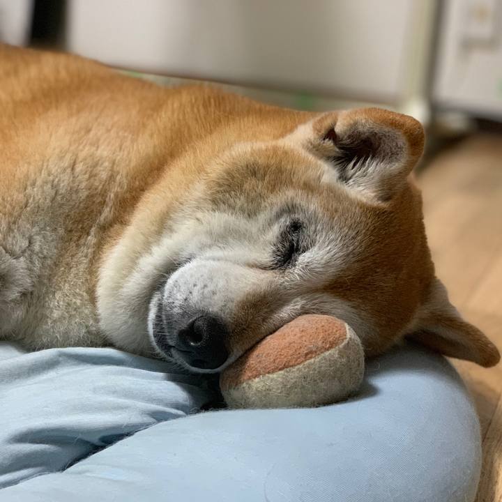 291f7f28 a211 4243 8a77 800b65108416 1563598706820