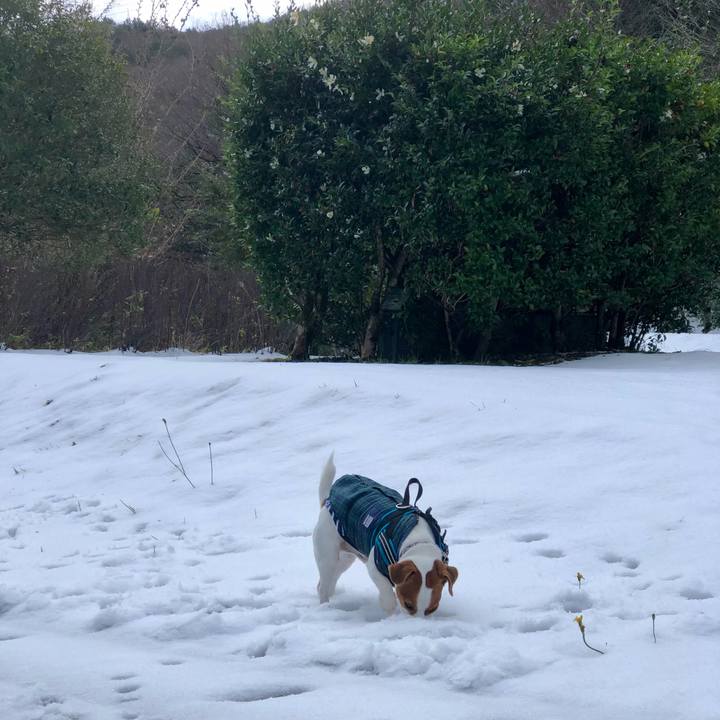 291f83fc 48fd 49bf 8972 3883652d29de 1639871428534