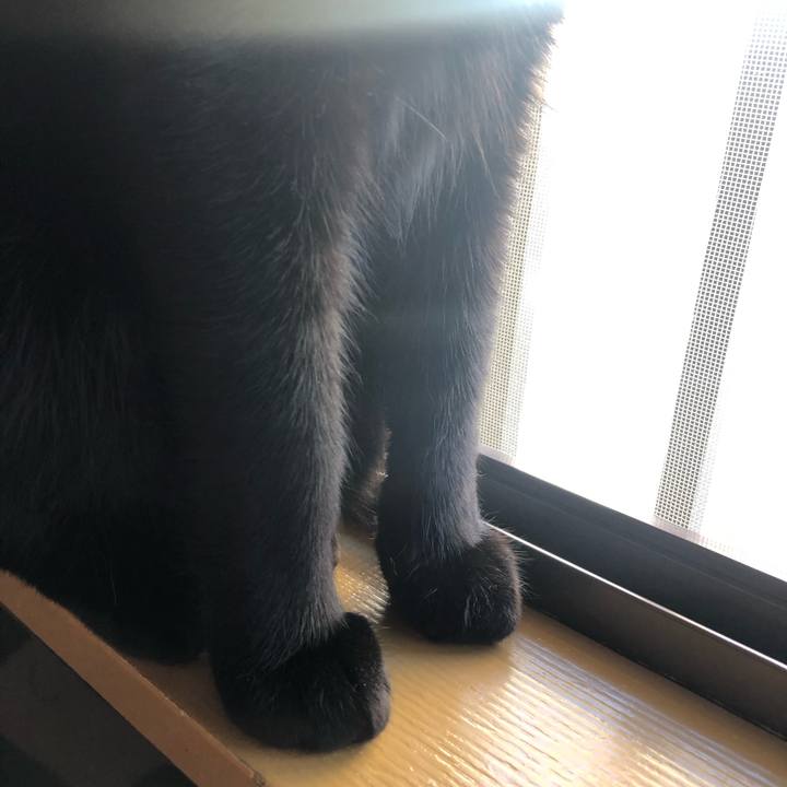 291fb856 598e 40c0 9a20 87091ab64193 1546305133658