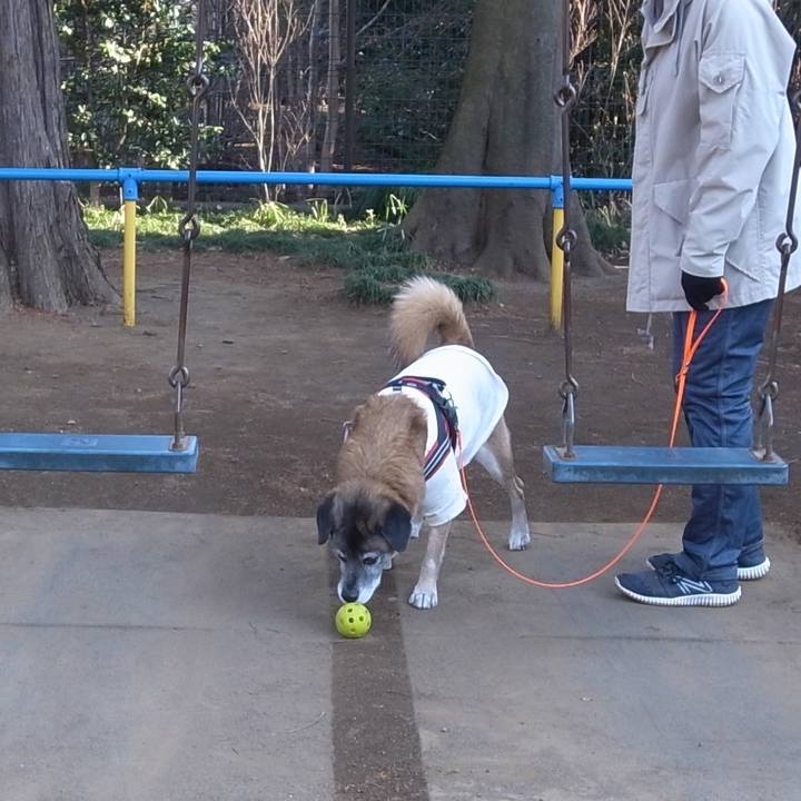 291fd4c1 a42a 4643 a892 91d7b30a2126 1595028290080