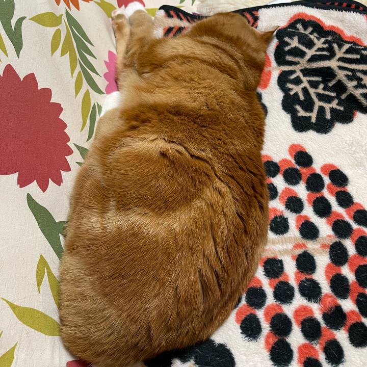 291fefb4 1fe1 4192 aeb4 d53cc3970d0d 1651234622750