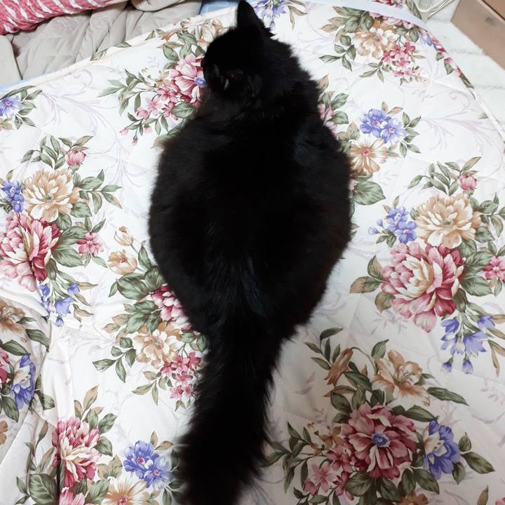 2920206b 9a90 493c a733 39a0cb03e954 1535033317785