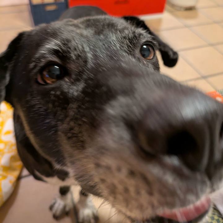 29205d45 2f0f 43f4 82af fa7775cb5dba 1755427919080