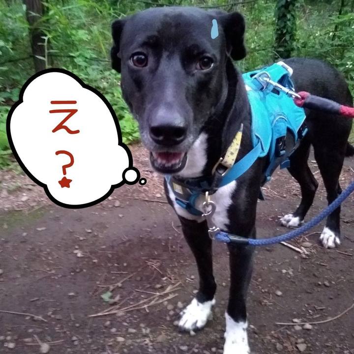 29206343 57c2 488e b6d8 312e60bf07f3 1621679581328