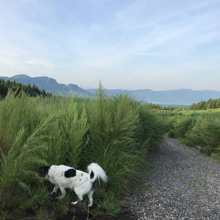 29207ef6 8172 4575 a459 1c118810f1af 1534641615065