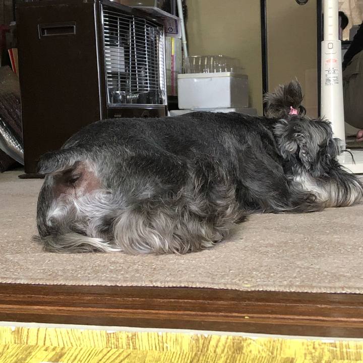 2920a9b6 6953 4f15 ac39 fb02adc9c4e3 1563027960126