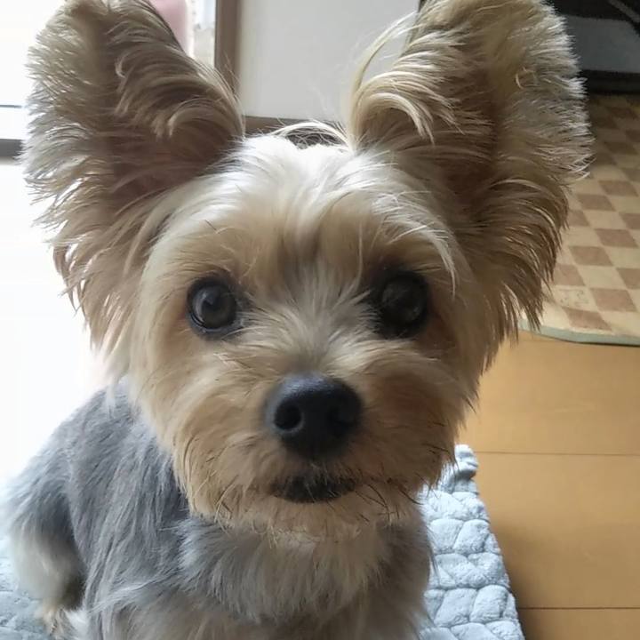 2920cc4f 3a06 4537 92bf af4adfaad37d 1693630796583