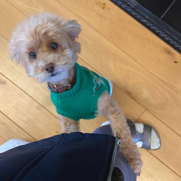 292122f2 9639 47fb bde5 32c8d7eef4fa 1606576171122