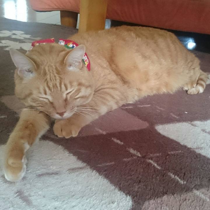 29215e83 5f9a 4df5 9b27 f4b95f446490 1519717303835