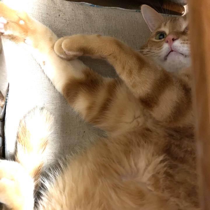 2921b6c3 4f92 4206 9e8e 72ee8700135d 1576098425347