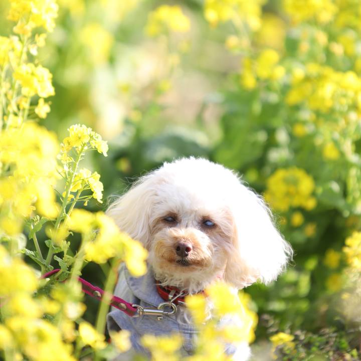 2921d41c 7a9e 44bd bb0a 060dc29e75f2 1613874887537