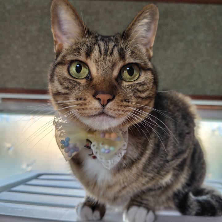 2921e90f 2c17 4577 a476 68b7185d9619 1763384366681