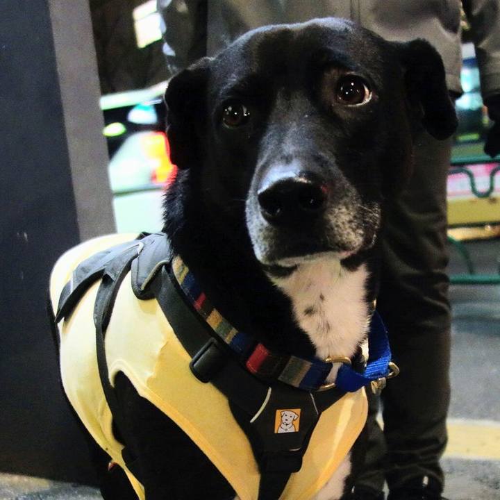 2921f72d 048d 46b0 ad66 caa0c4f568e3 1641984379867