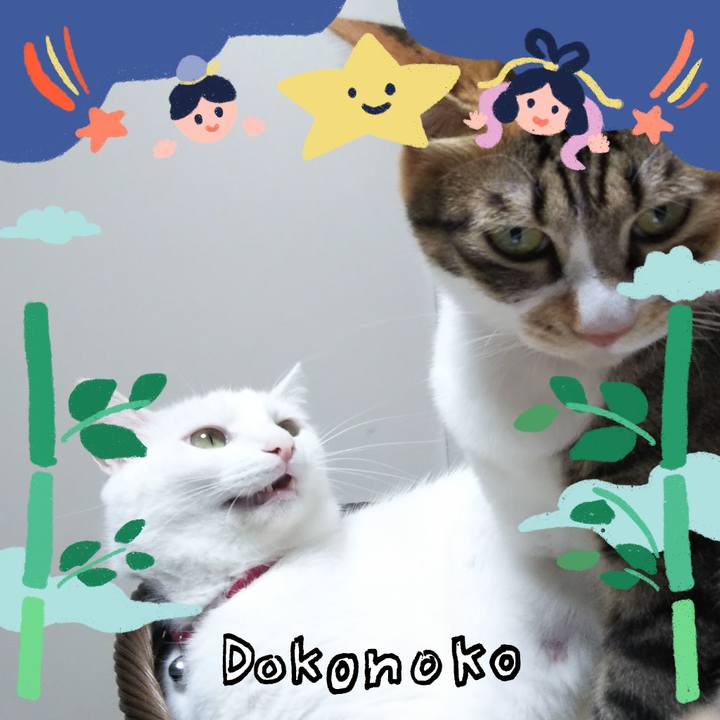 29220278 6776 424c 8ef5 a1b25b033f01 1720875569405