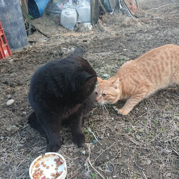 292279d6 9a06 4820 8fe3 5faa27929155 1649236812018