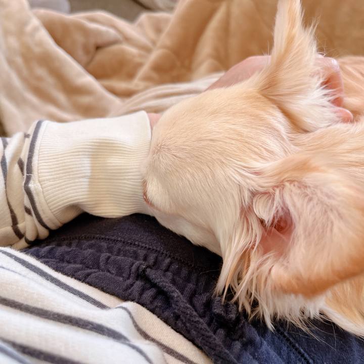 29228c22 39a8 4a87 9737 53edeb576ec9 1679348630246