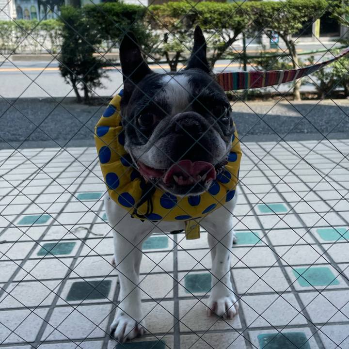 29228fd6 ae60 487e 844b dd78528dc13e 1696039298004