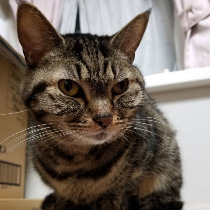 2922ba7a 6302 404b 9adf 7c4eb8ddc9b4 1605217461163