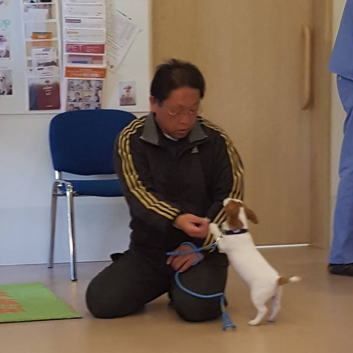 2922be9d 8c08 41df 8ee9 6da86e80ebf5 1551512517989