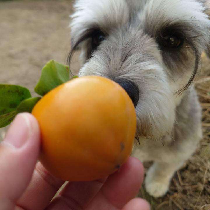 2922d6ec e0e0 43c7 86cd 51038bdf7639 1758952790630