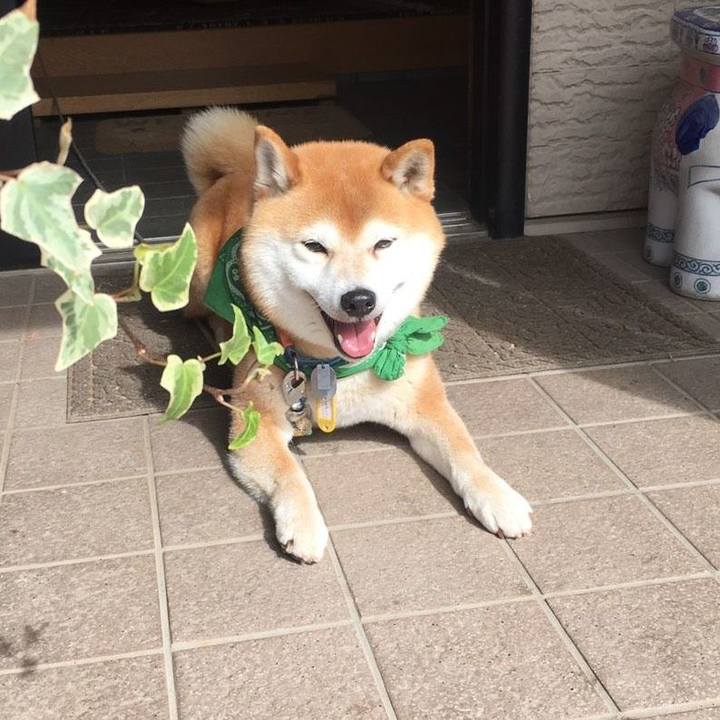 2922dabf 4bb8 438e a122 447920aea158 1556679209299