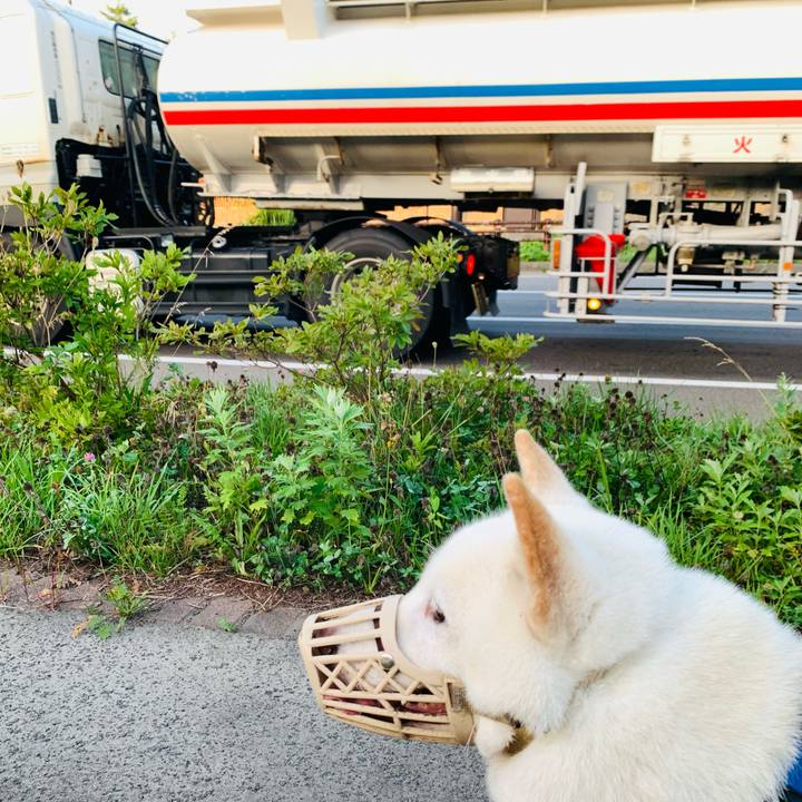 2922db1e 6b2b 4470 9653 a6a564075ba3 1630963484142