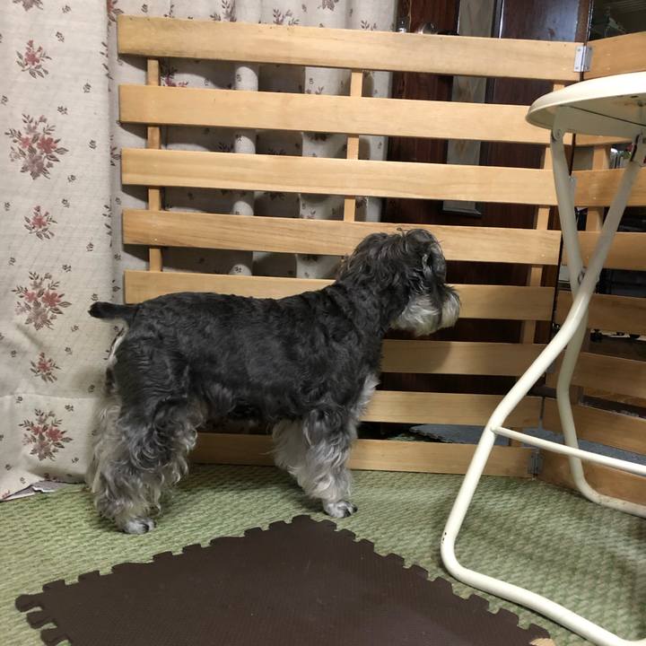 2922e802 4297 496a ac15 e8c140036d1b 1695647038818