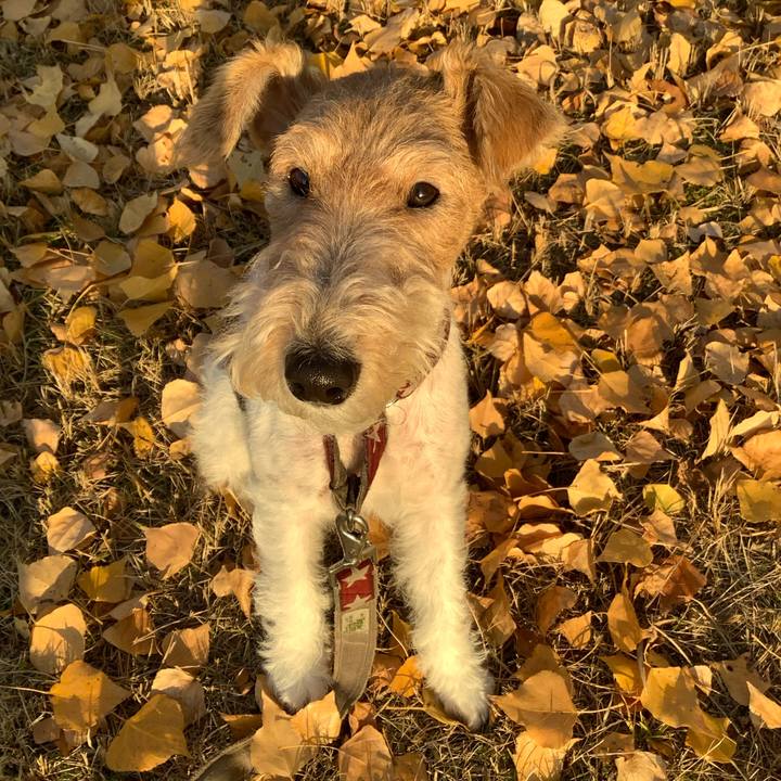 2922ed01 771c 4f6f aa26 f6cc86e231a7 1765099071756