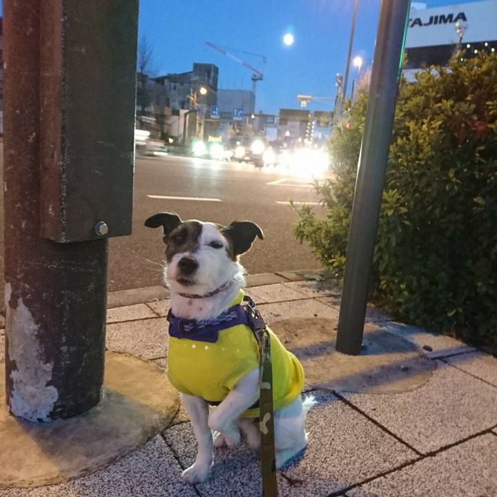 292314f0 0397 4d5c b728 ec8b96dffcfb 1520023692640