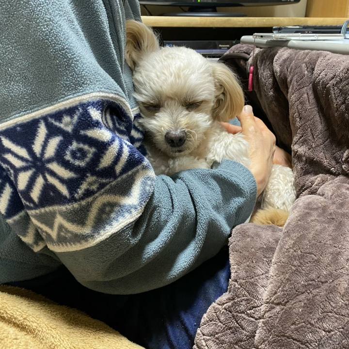 29231582 2f64 4f8a 8d31 5c609a618f37 1608812311884