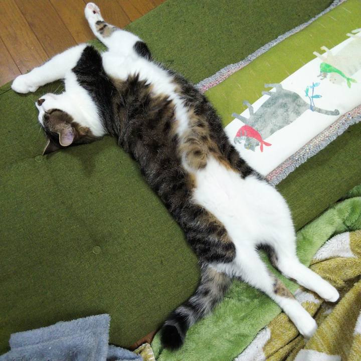 29233248 3258 47a6 b90b 67d440d73a98 1652252577051