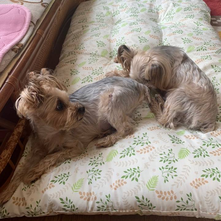 29236050 6c01 4f2d a95e 0ded762fd83c 1653300627771