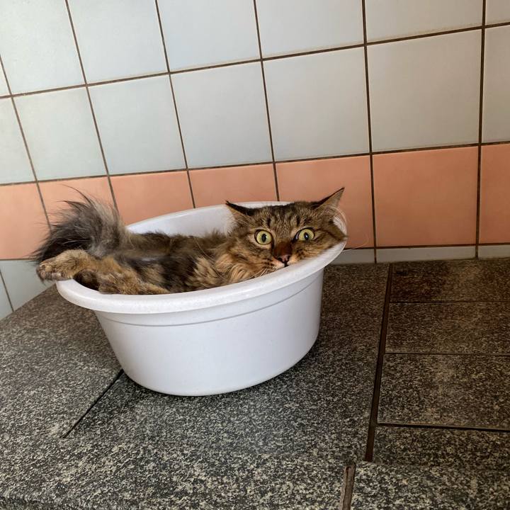 2923744a 2b48 4fed 9c9f fde756ff8f20 1695443604869