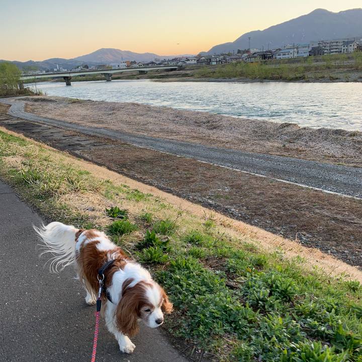 29238949 7139 42b8 83ec 9376534fd1cb 1619471714666