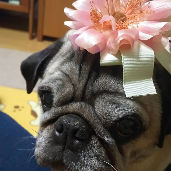 2923a90b c572 4611 aead a2f7930b53f1 1556500066328