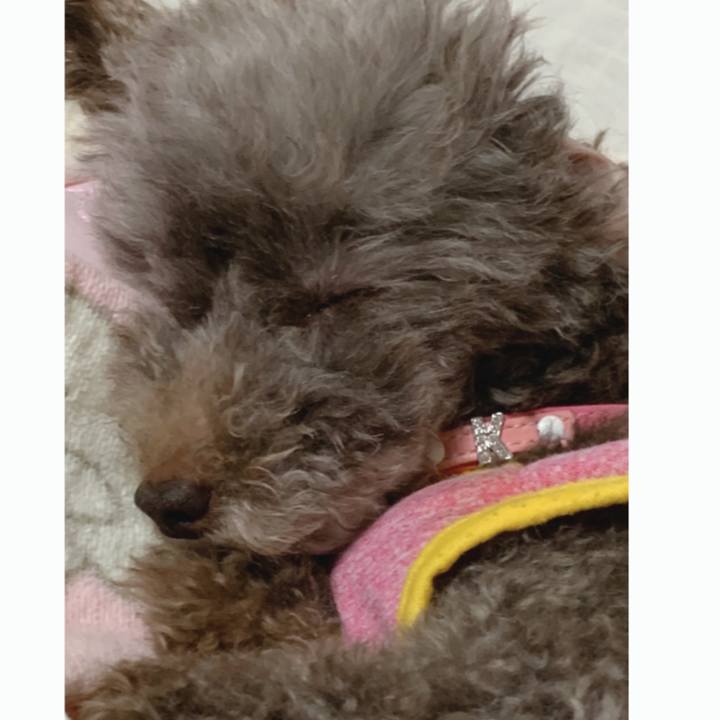 2923bba4 a6db 4270 9516 a90a6343357a 1650285082101