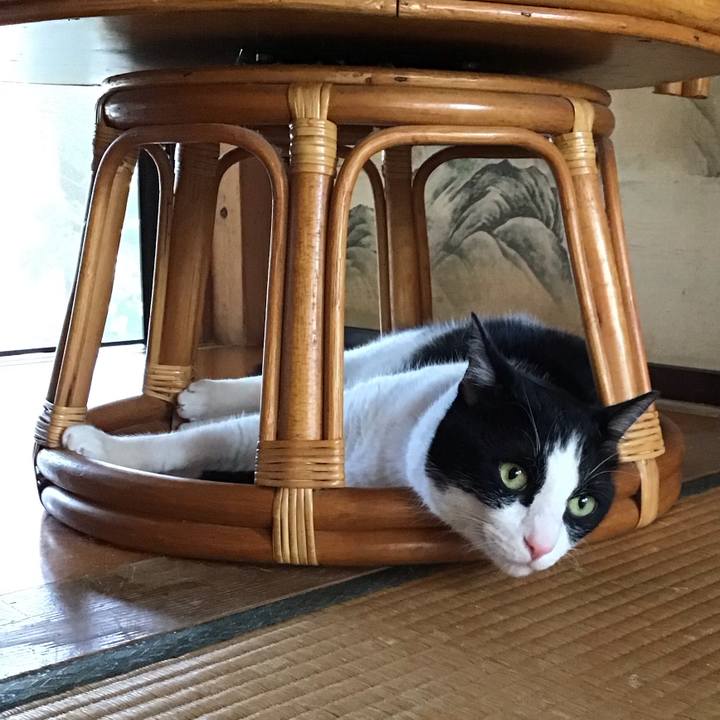 2923c042 6823 4b9b 9e90 98eeab388dfb 1751983416019