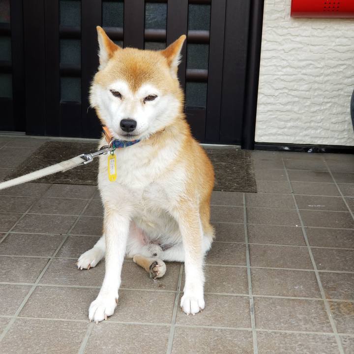 2923c4b2 f30b 4094 a059 a4ad1efe0499 1563590942824