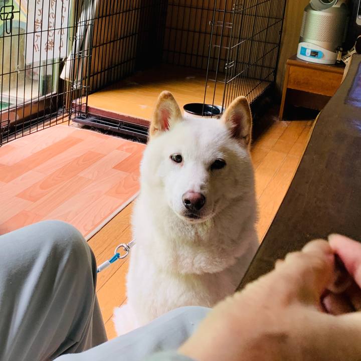 29240e62 e7d7 4689 8958 999b5c3c1f9e 1601151008198