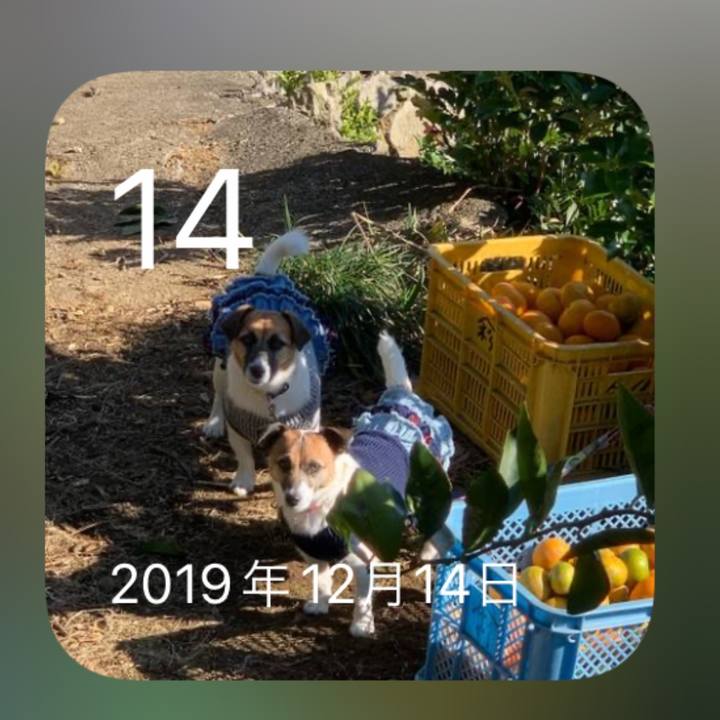 29241956 57c4 4c43 9a1f 614678d12aa7 1639439096220