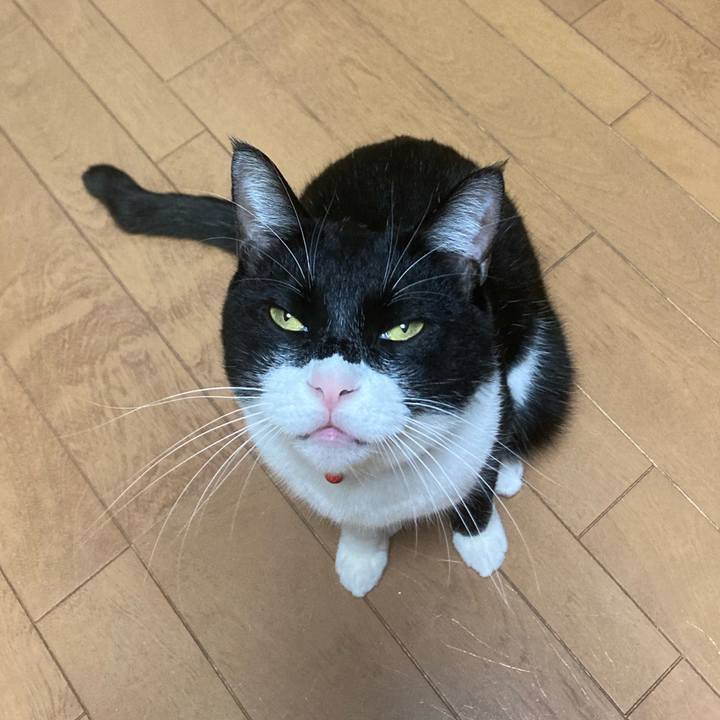 2924300a f5b9 444d 8e19 f8ffafb87788 1637547647844