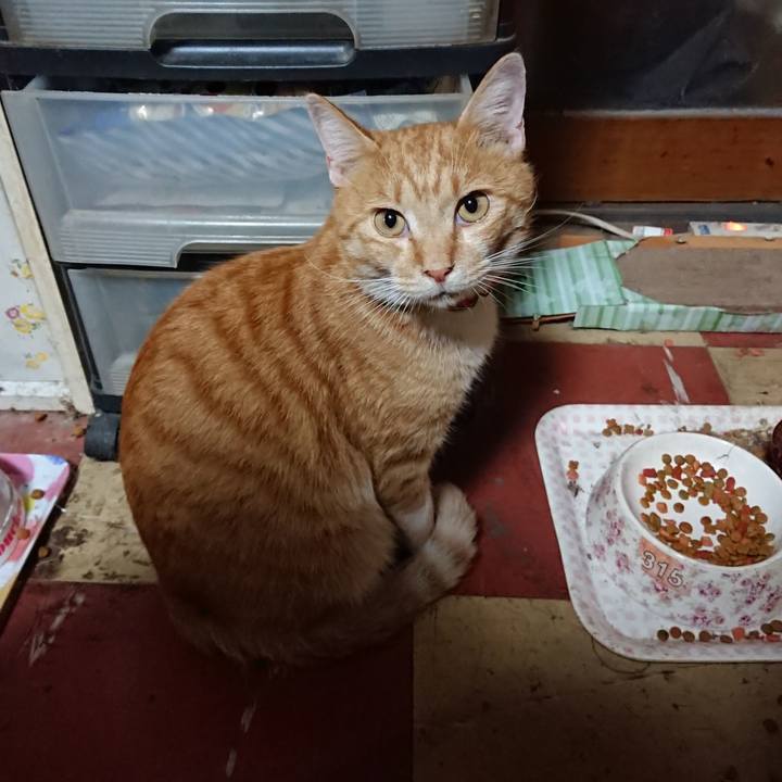 29244ddc 45fe 49c6 a614 5ced7911d30c 1571047599529