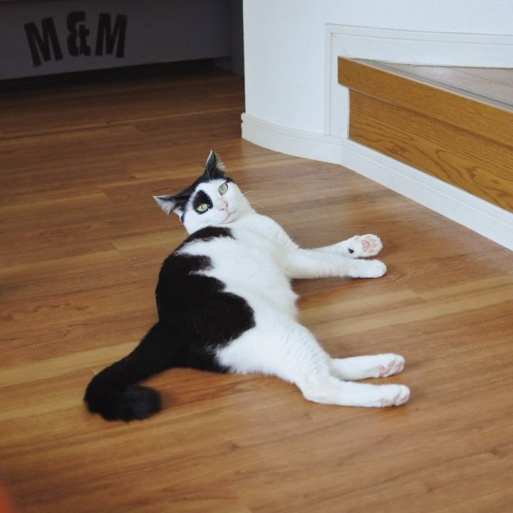 2924516b 43dd 4fd6 92cc ab076775fe87 1562298643671