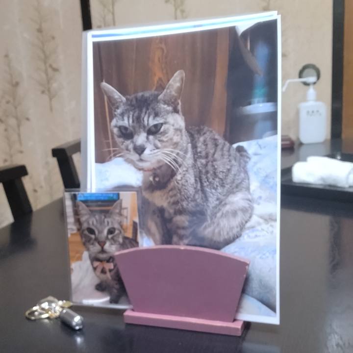 292485c7 b356 4b53 97c9 cb335a8e5e2b 1717504887554